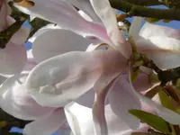 P1000024.webp