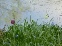 P1000030.webp