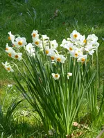 P1000036.webp