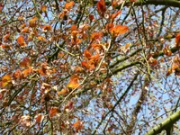 P1000041.webp