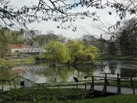 P1000044.webp