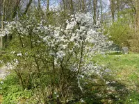 P1000045.webp