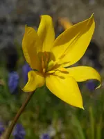 P1000057.webp
