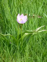 P1000070.webp
