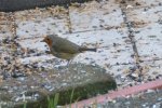 DSC_8229.jpg