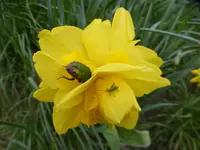 P1080680.webp