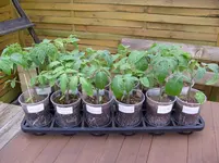 14. April 2016 Garten (2).webp