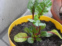 084.webp