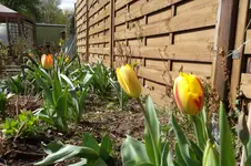 SAM_0978.webp