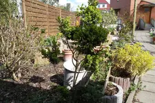 SAM_0986.webp