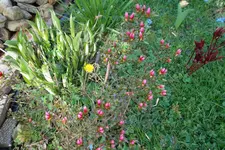 SAM_0996.webp