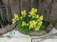k-P1100148.webp