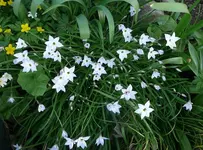 k-P1100122.webp