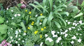 k-P1100123.webp