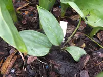 DSCF9078.webp