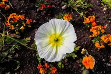2016-04-14-0170.webp