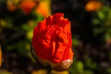 2016-04-14-0173.webp