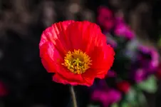2016-04-14-0175.webp