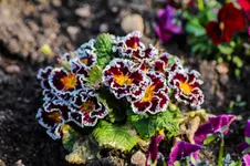 2016-04-14-0176.webp