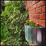 2016-04-16 13.05.52-1.webp