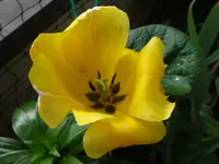 093.webp