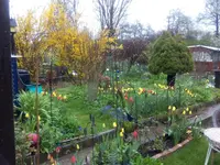 IMG_20160416_111606.jpg
