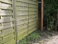 IMGP8590.webp