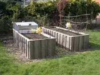 IMGP8591.webp