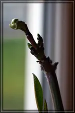 comp_DSC00995.webp