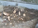 2016-04-10 erschwerte Bodenbearbeitung.JPG