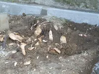 2016-04-10 erschwerte Bodenbearbeitung.webp