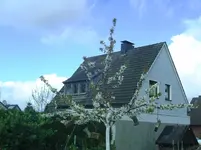 Kirsche.webp
