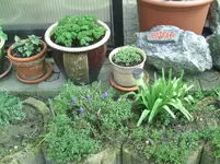 Kreuter (2).webp