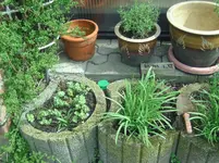 Kreuter (4).webp