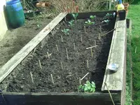 Hochbeet.webp