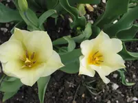 004 - Kopie.webp