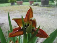 008 - Kopie.webp