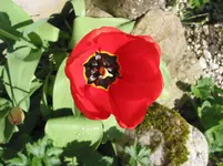 013 - Kopie.webp