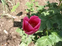 016 - Kopie.webp