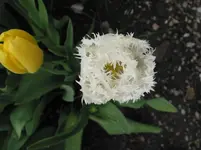 017 - Kopie.webp