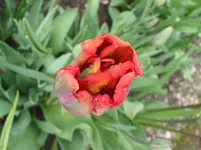 018 - Kopie.webp