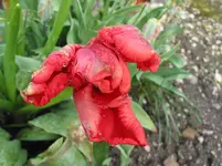 019 - Kopie.webp