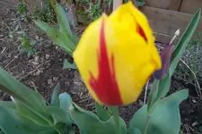 SAM_1005.webp