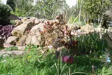 SAM_1015.webp