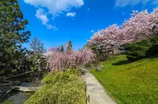 2016-04-14-0139.webp