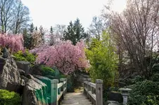 2016-04-14-0142.webp