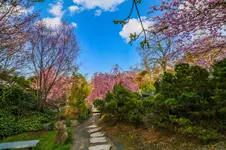 2016-04-14-0147.webp