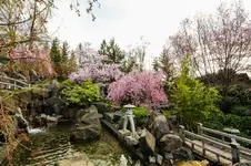 2016-04-14-0153.webp