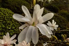 2016-04-14-0157.webp