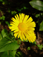 P1110526.webp